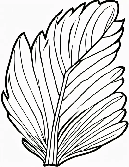 Turkey Feather Rainbow Coloring Page